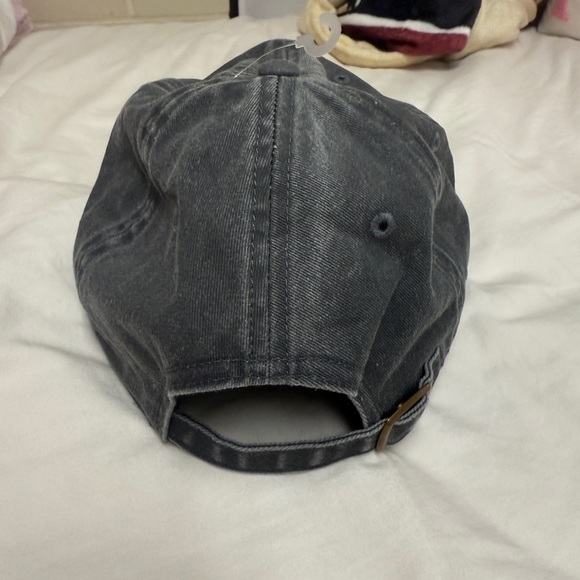 Gray Alpha Omicron Pi Hat - Picture 2 of 3